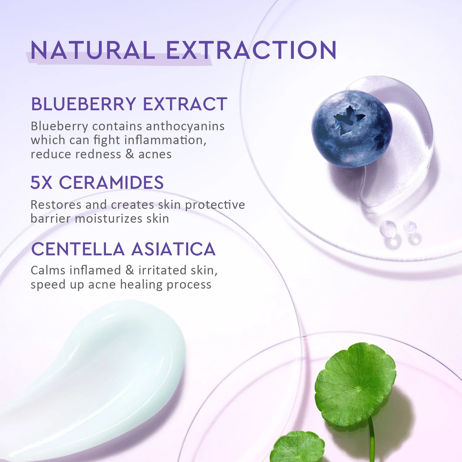 Blueberry Ceramide Barrier Moisturizer - Image 4
